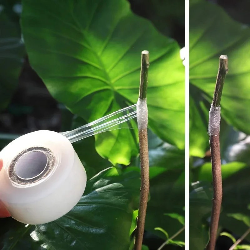 200M FE grafting tape Film Tree Plants Seedlings Grafting Supplies Self-adhesive Food Fresh Keeping Film Packaging wrapping film