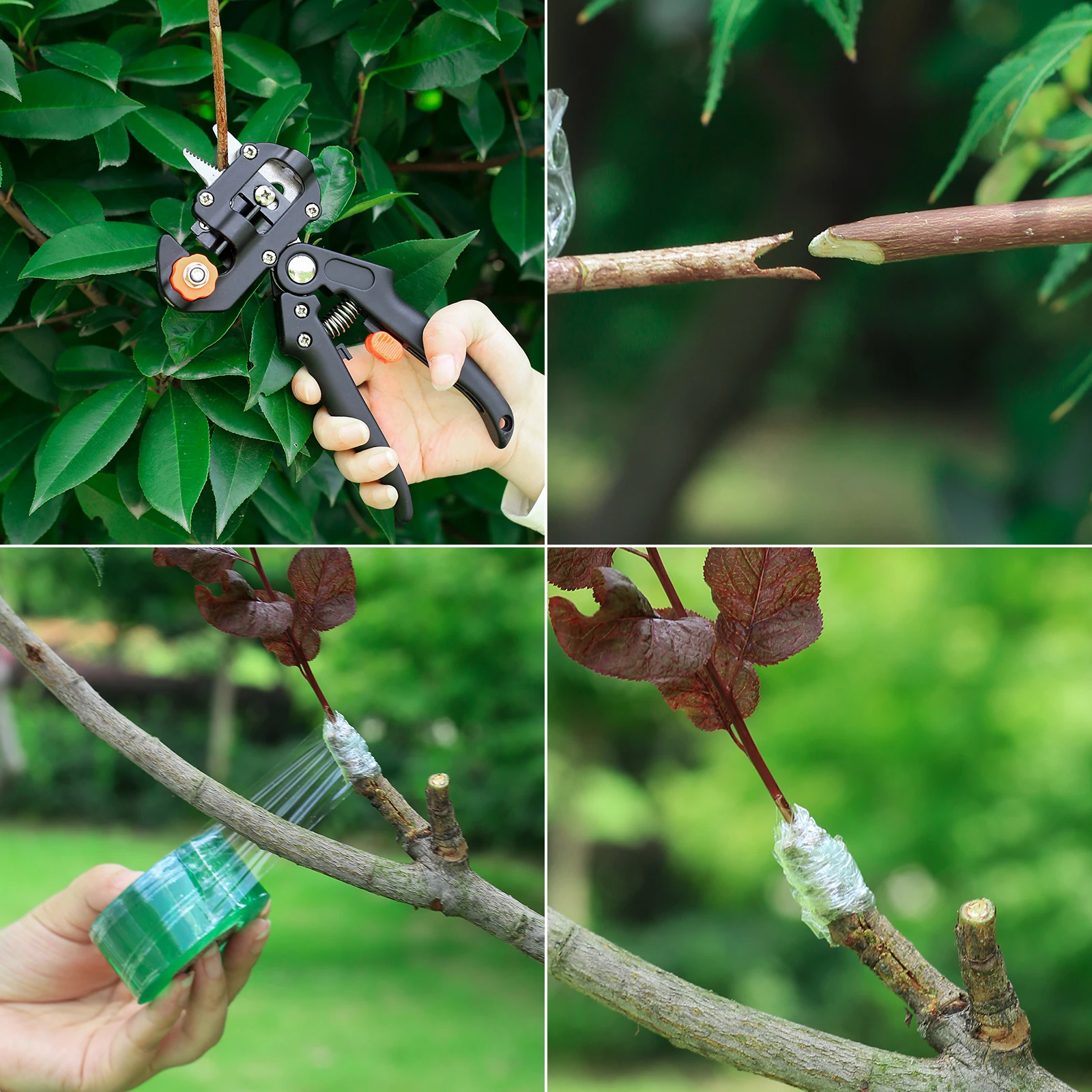 PE Grafting Tape Film Self-adhesive Garden Tree Plant Seedling Vine Tomato Grafting Accessories Stretchable 20/30/60/100mm Width